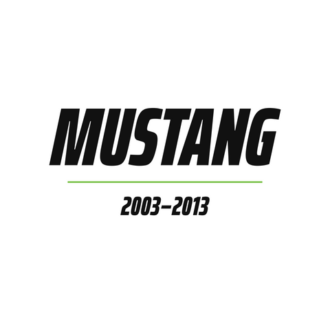 Mustang DF1800 / DF2000 GT Wing – Complete Kit